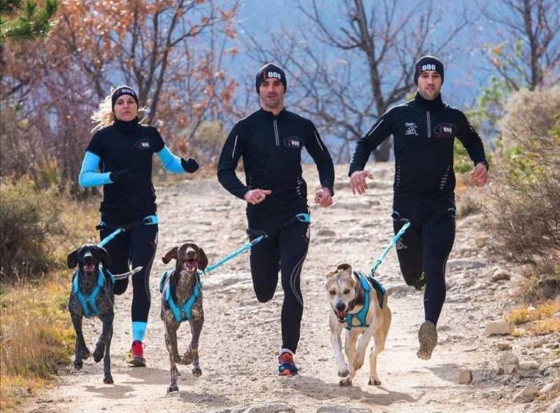 Quel équipement pour faire du canicross, ce qui correspond à de la course à pied relié et tracté par votre chien à Lozanne dans l’ouest Lyonnais.